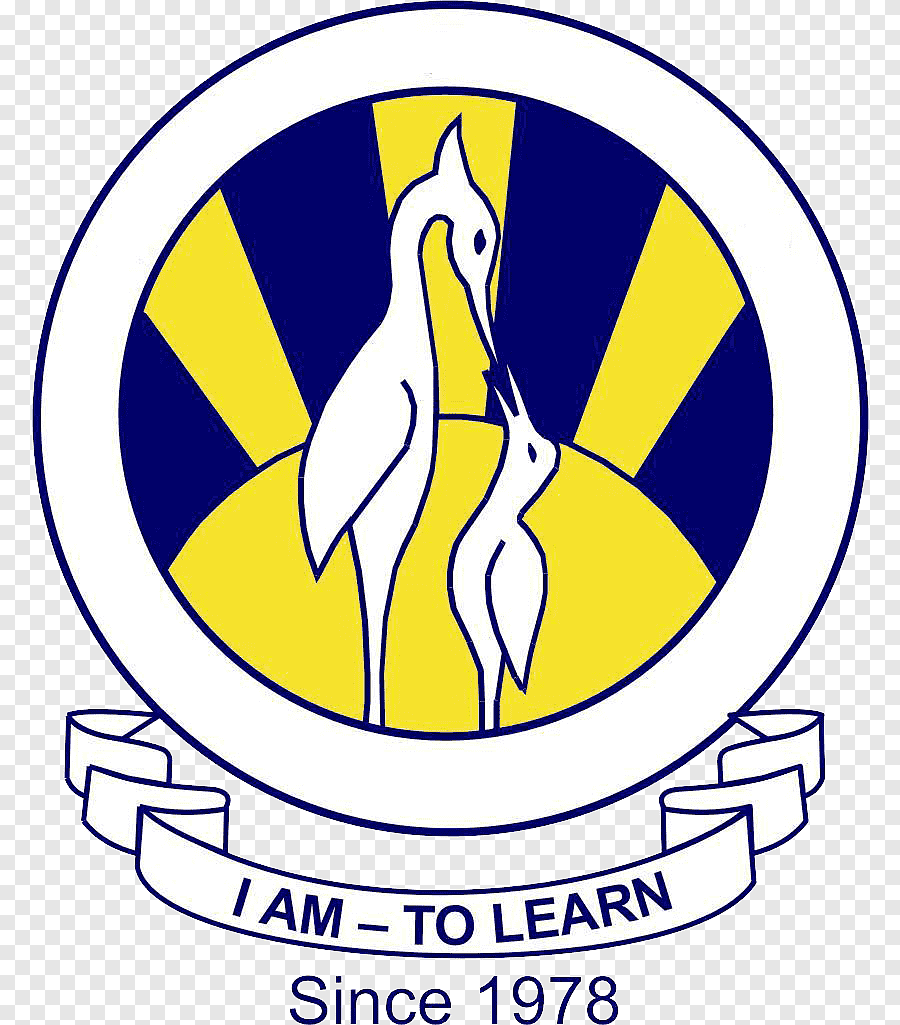 The City School