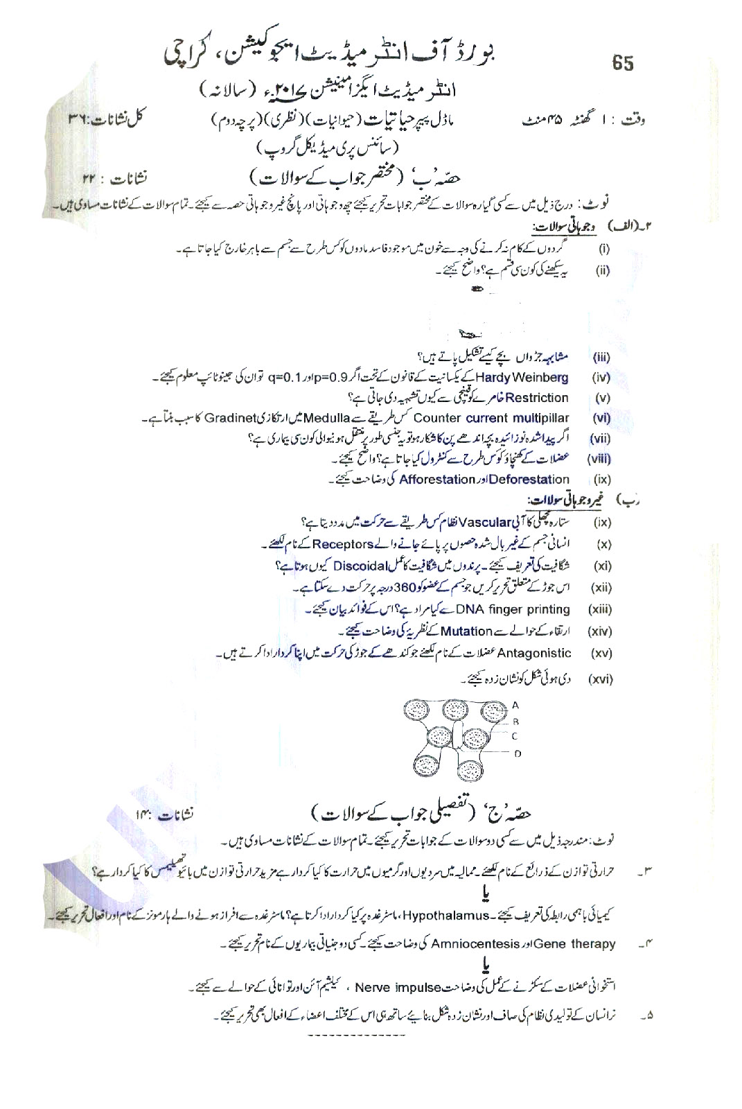 BIEK Karachi Board Model Papers 2025 Inter Part 1 2, HSSC, FA, FSC, Intermediate, 11th & 12th