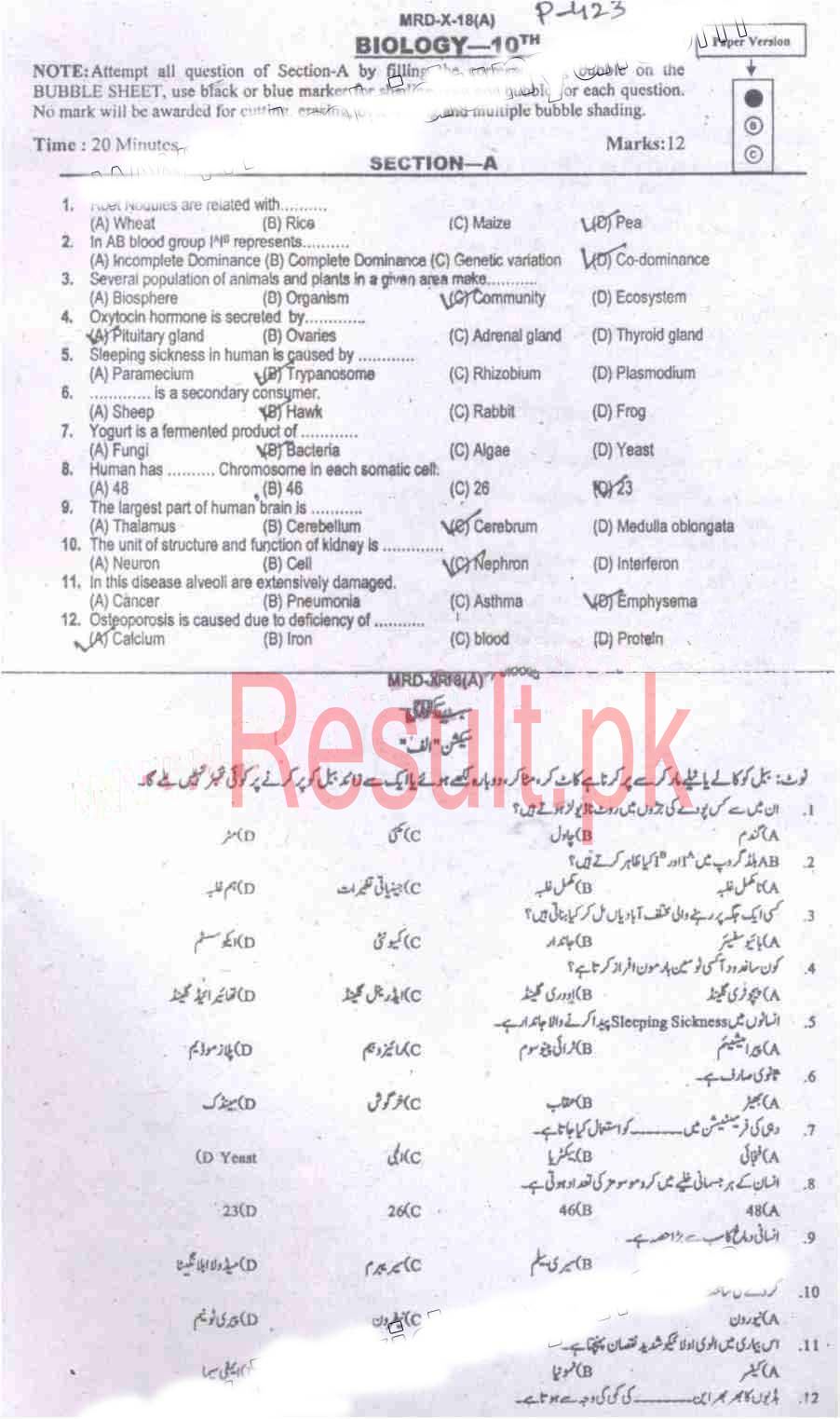 BISE Mardan Board Past Papers 2025 Matric, SSC Part 1 & 2, 9th & 10th, Annual & Supply Old Papers