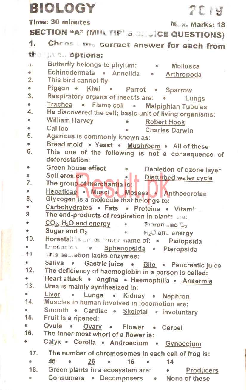 BSEK Karachi Board Past Papers 2024 Matric, SSC Part 1 & 2, 9th & 10th