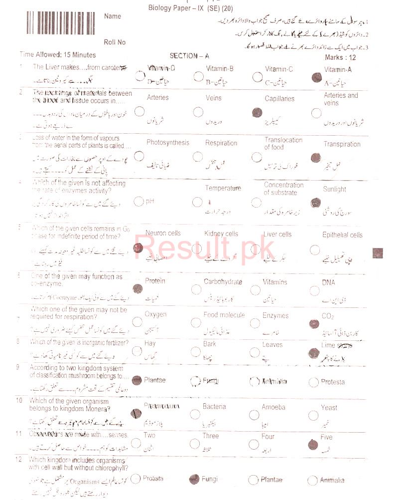 BISE Peshawar Board Past Papers 2024 Matric, SSC Part 1 & 2, 9th & 10th