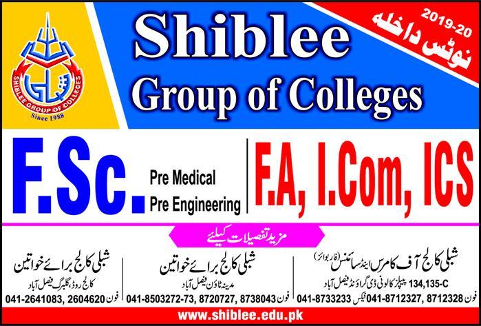 Shiblee group of colleges faisalabad jobs