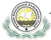 PEEF FATA Scholarships 2019-20