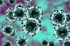 Corona Virus May Alive on Any Level for 17 Days Corona Virus May Alive on Any Level for 17 Days