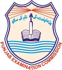 PEC 8th Class Exams Result 2020 PEC 8th Class Exams Result 2020