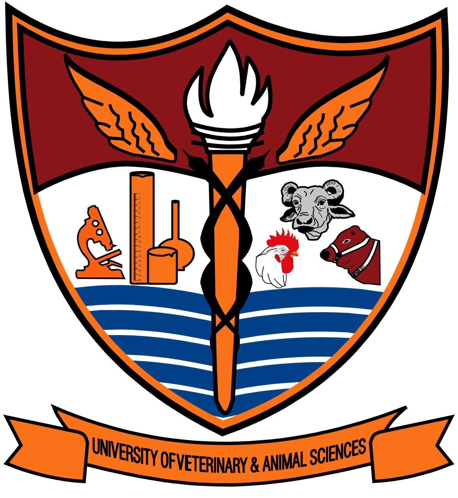 Cholistan University Admissions 2020