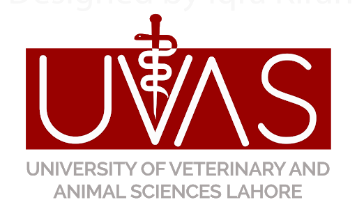 University of Veterinary and Animal Sciences Admissions 2020