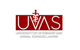 University of Veterinary & Animal Sciences Admissions 2020