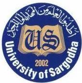 UoS BS 8th Semester Final Exams 2020 Date Sheet