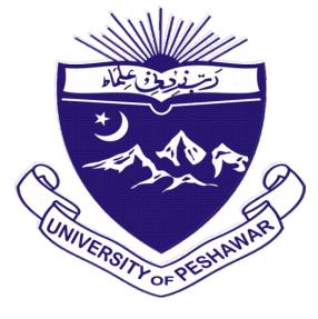UoP BA/BSc Annual Exams 2020 Result Position Holders