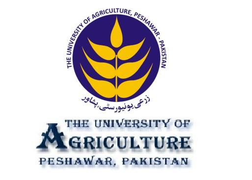 University of Agriculture,Peshawar Ph.D Scholarship 2021.