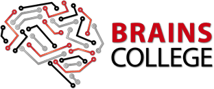Brains College Satellite Town BS MSc LLB Admissions 2021 Brains College Satellite Town BS MSc LLB Admissions 2021