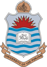 PU BSc (Hons) MIT Third Annual Exams 2020 Date Sheet
