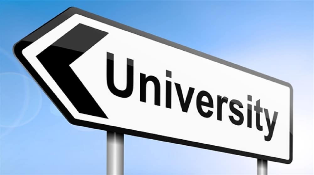 Punjab Govt Sets Up Universities in 8 Districts