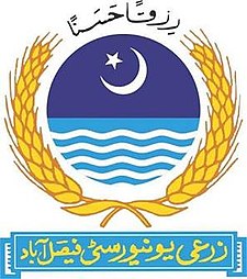 UAF e-Rozgaar Free Courses Admissions 2021