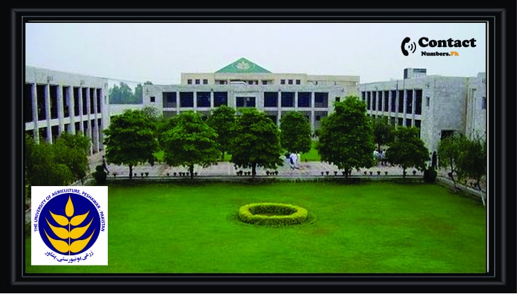AUP BSc Hons Agriculture Result Exam 2020-24 AUP BSc Hons Agriculture Result Exam 2020-24