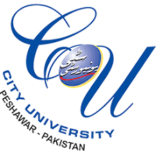 CUSIT Peshawar BSc & B.Tech Datesheet Online Exams 2021