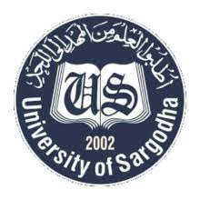 UOS MA MSc Annual Exams 2021 Roll No Slips UOS MA MSc Annual Exams 2021 Roll No Slips