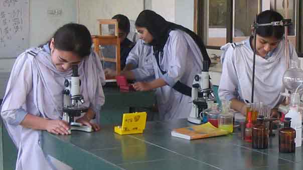 Sindh E-Centralized College 11th Class Admission 2021