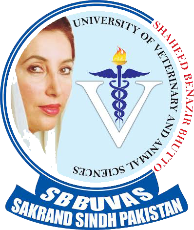 SBBUUVAS Sakrand BS Admissions 2021-2022