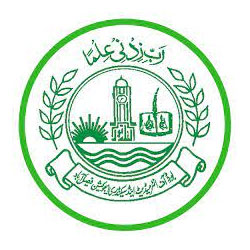 BISE Faisalabad SSC Disabled / Haffaz Scholarships