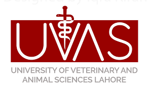 UVAS BS Hons Final Term Exam Date Sheet 2021 2022