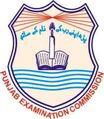 PEC SBA Annual Exams Result 2022