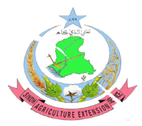 Agriculture Extension Sindh Hyderabad Diploma Admissions 2022