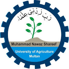 MNS University of Agriculture Masters Program Admissions