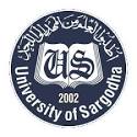UoS BBA BS MSc 3rd Term Annual Exams 2022 Date Sheet UoS BBA BS MSc 3rd Term Annual Exams 2022 Date Sheet