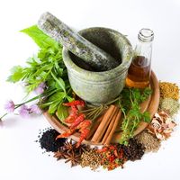 Islamia Tibia College Multan Admissions 2022