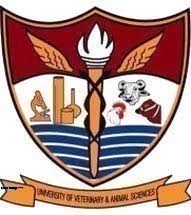 UVAS Disable Quota Undergraduate Admission Medical Test 2022 UVAS Disable Quota Undergraduate Admission Medical Test 2022