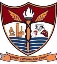 UVAS BSc Hons Nutrition and Dietetics 1st Semester Exam 2023 Result