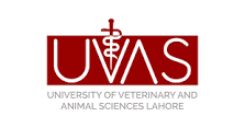 University of Veterinary & Animal Sciences UVAS Lahores Admissions 2023