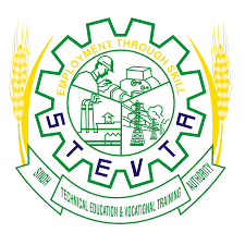 Government of Monotechnic Institute D.A.E C.I.T Karachi Admission 2023