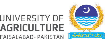 The University of Agriculture in Faisalabad MSc MBA MPhil Admission 2023-24