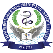 SMBB Medical University MBBS Annual Exams Result 2024