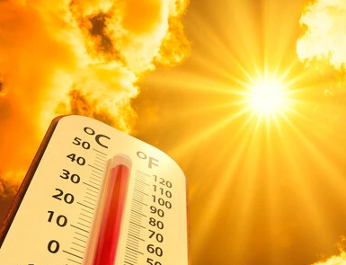 Punjab Reduces School Timings Due to Heatwave