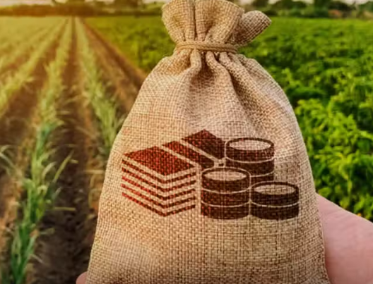 Sindh Govt Introduces Interest-Free Loans for Agricultural Students