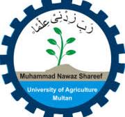MNSUAM BS & BSc & BBA Programs Merit Lists 2024