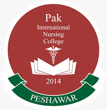 Pak International Nursing College Peshawar BS Admission 2024