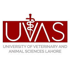 UVAS Admissions 2025 Short Courses