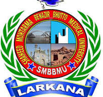 SMBBMU Result 2025 3rd Prof BDS Annual Exams Announced SMBBMU Result 2025 3rd Prof BDS Annual Exams Announced