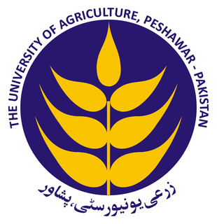 AUP Admissions 2025 Postgraduate Degree Programs AUP Admissions 2025 Postgraduate Degree Programs