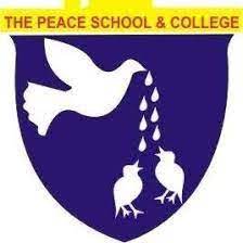 PEACE Group of College Admissions 2025 1st Year PEACE Group of College Admissions 2025 1st Year
