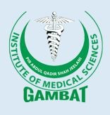 Gambat Medical College Admissions 2025 MBBS Progra