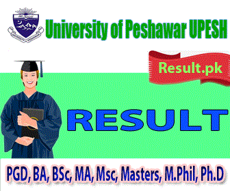 UoP BBA Hons 7th Semester Fall 2024 Exams Result