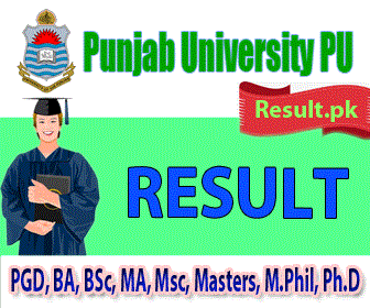 PU MS in Remote Sensing Spring Semester Exams 2023 2025 Result