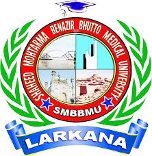 SMBBMUL Result 2025 Announced for DPT Re-Sit Exams