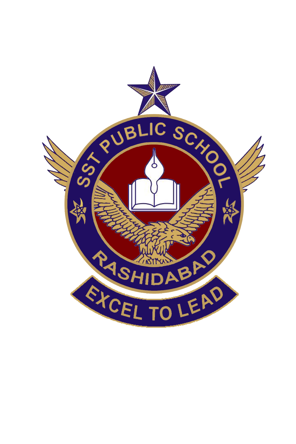 SST Public School Rashidabad Admissions 2025 Grade VIII SST Public School Rashidabad Admissions 2025 Grade VIII
